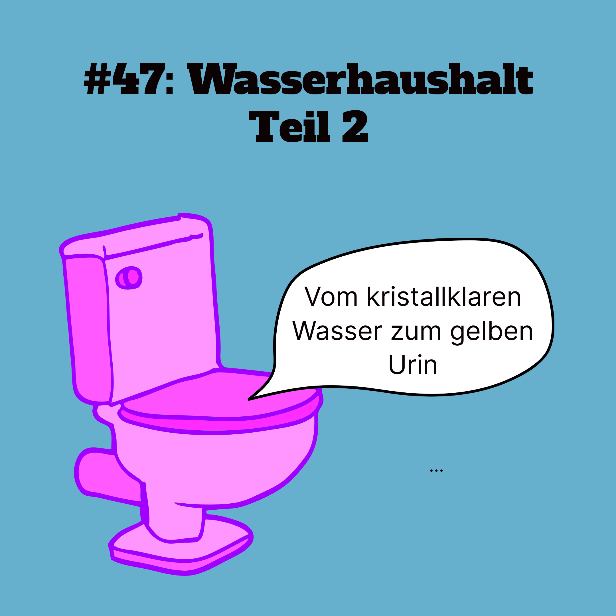 Wunderwelt Körper