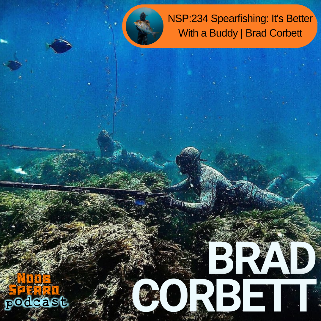 NSP:234 Spearfishing: It's Better With a Buddy | Brad Corbett