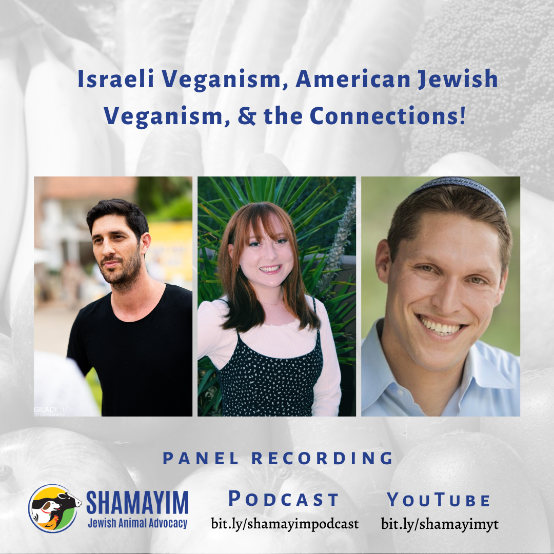Shamayim: Jewish Animal Advocacy