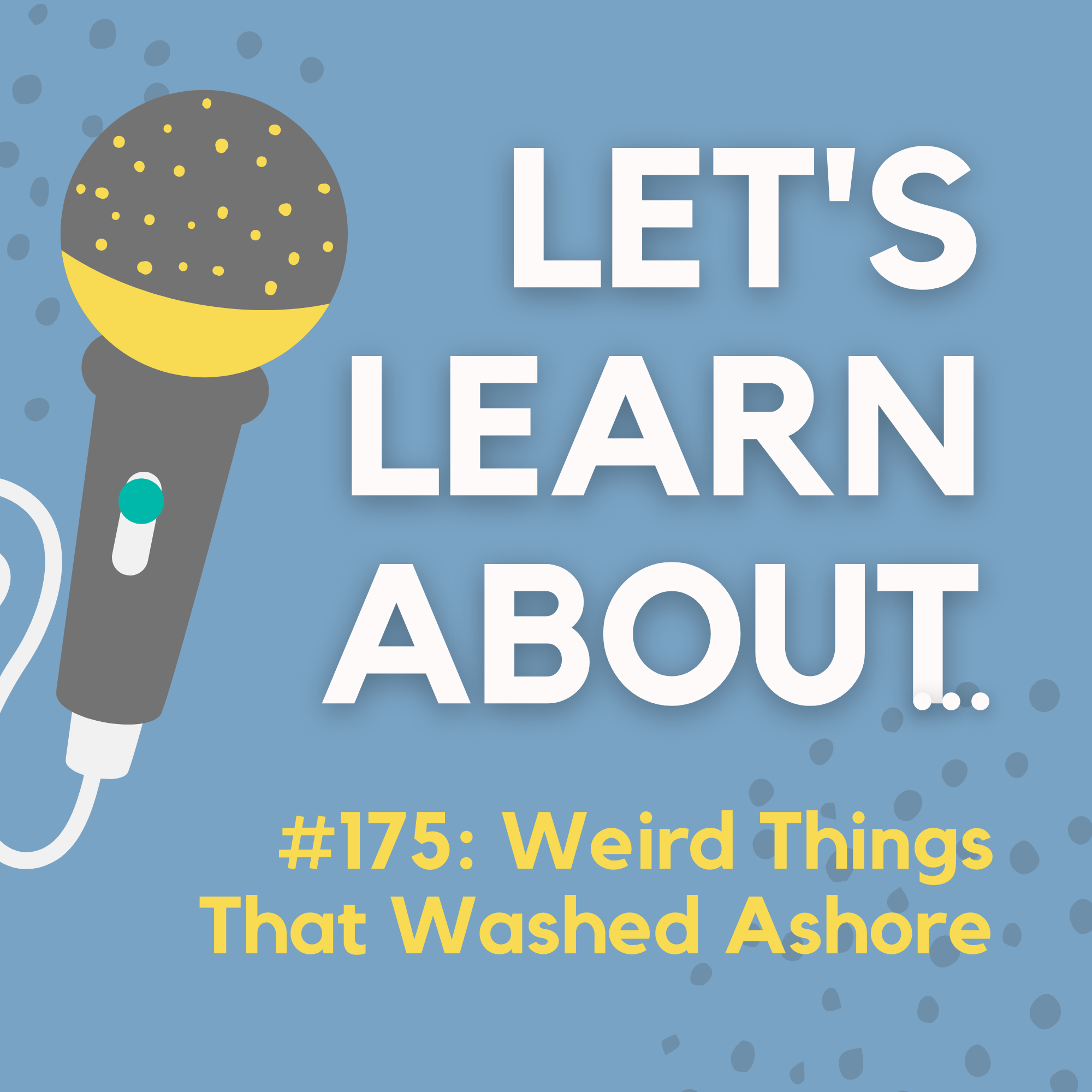 #175 - 13 Weird Things That Have Washed Ashore