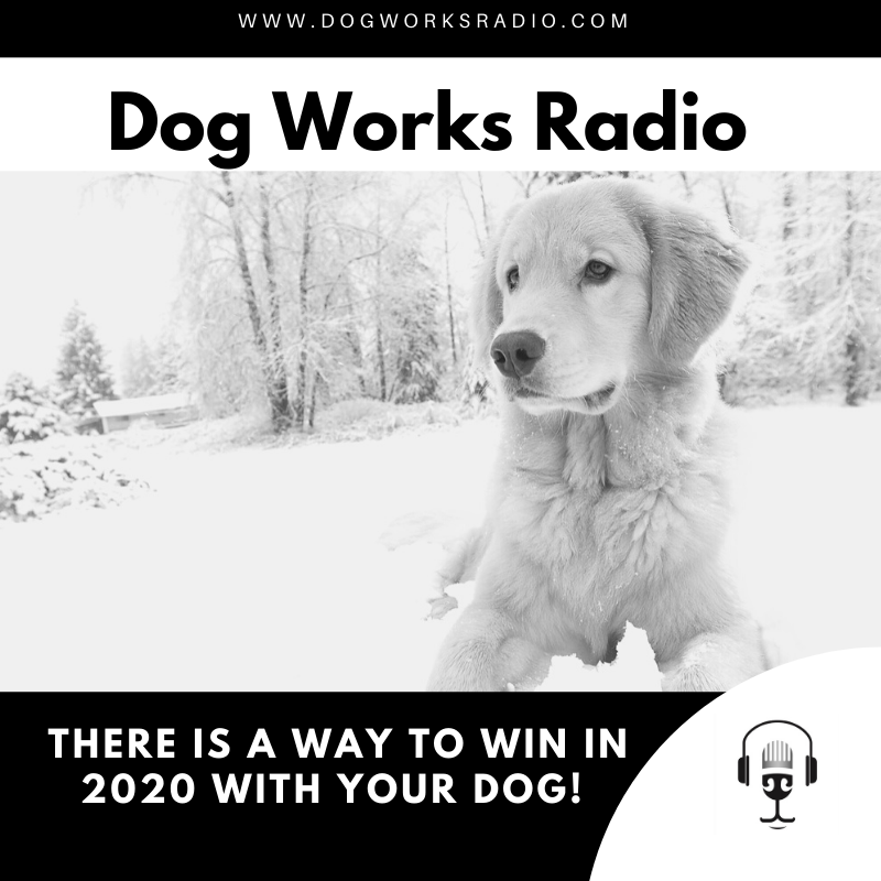 There is a Way to Win in 2020 with Your Dog!