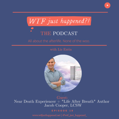 WTF Just Happened?!: All about the afterlife. No woo.