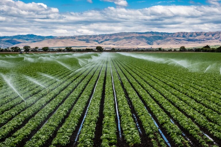 The Future of California Agriculture