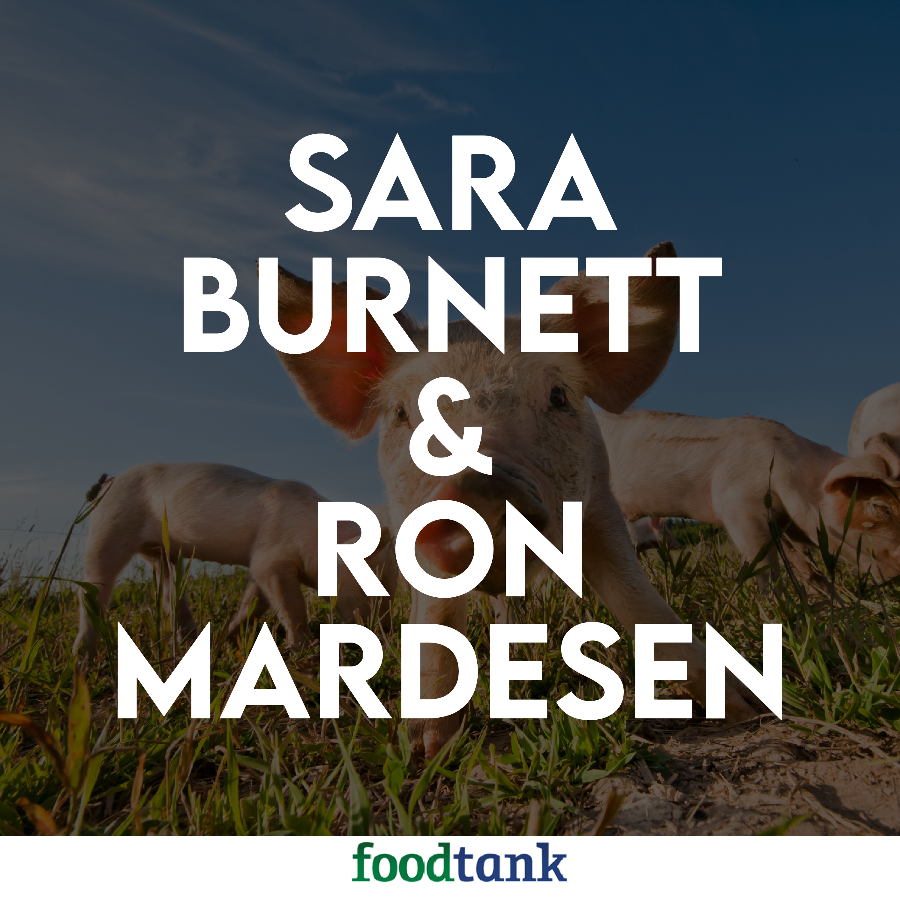 162. Panera’s Sara Burnett and Farmer Ron Mardesen on Building Healthy, Humane Supply Chains
