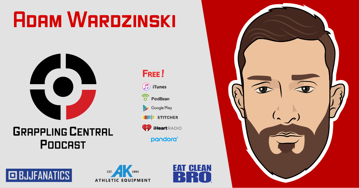 The BJJ Fanatics Podcast
