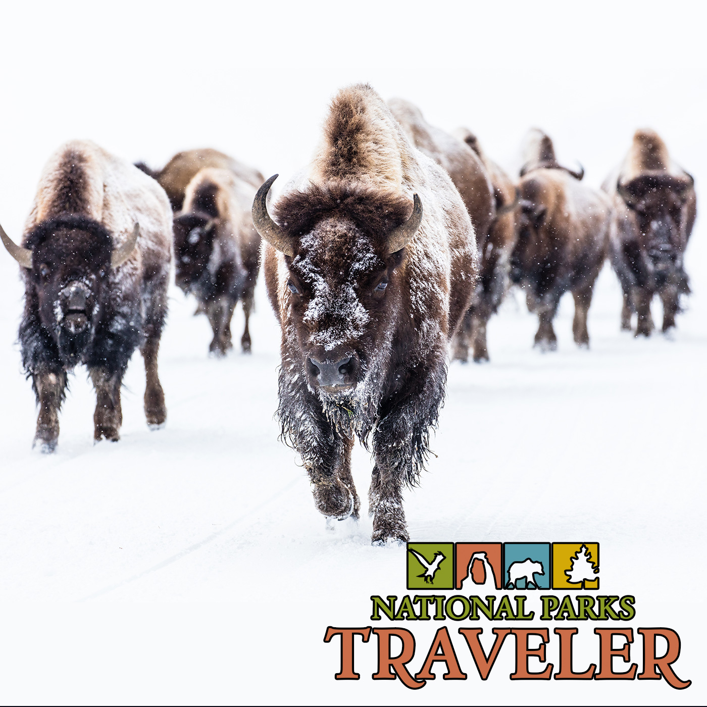 National Parks Traveler Podcast