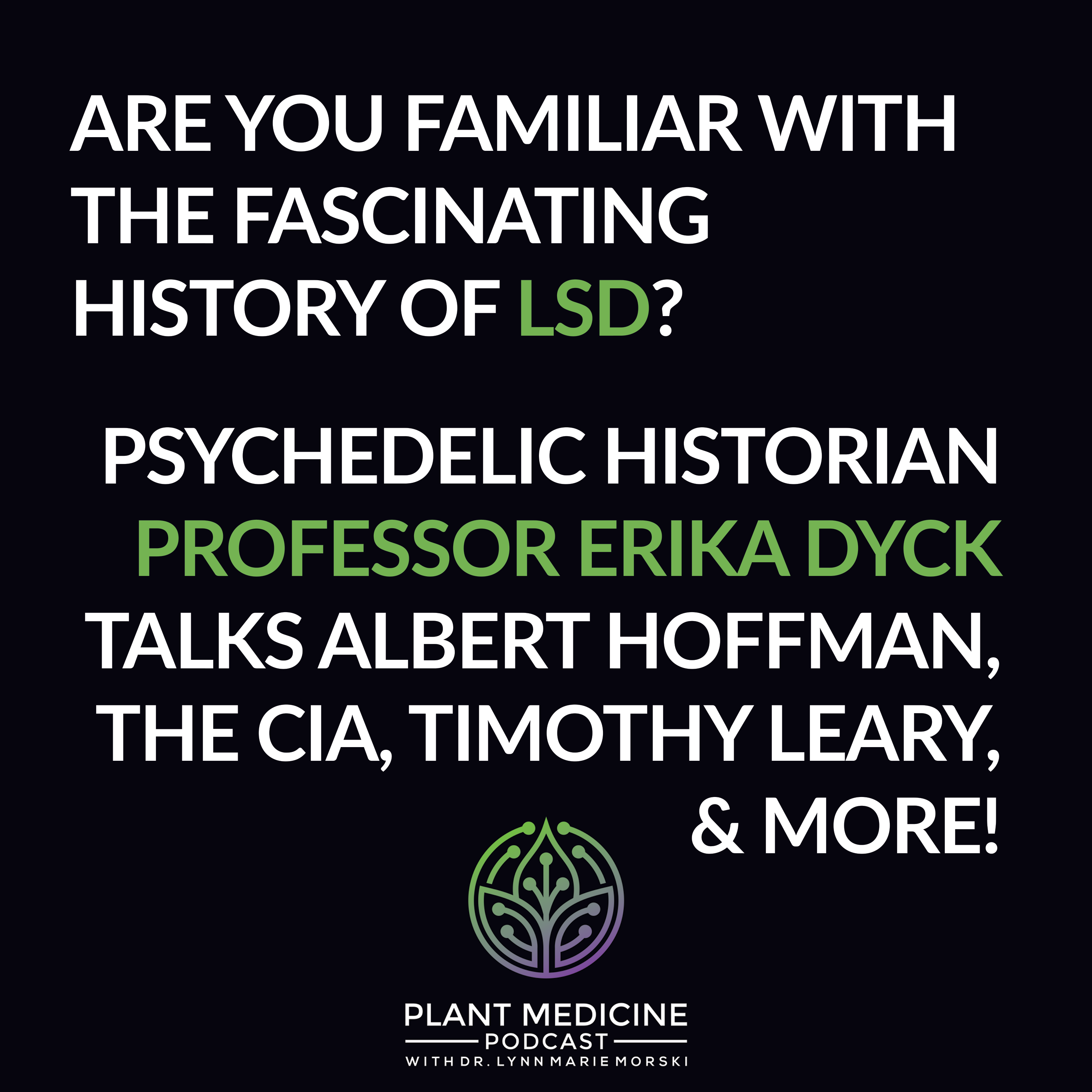 Psychedelic Medicine Podcast with Dr. Lynn Marie Morski