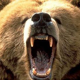 Why I Am A Perma-Bear: Chris Martenson, Chapter-1