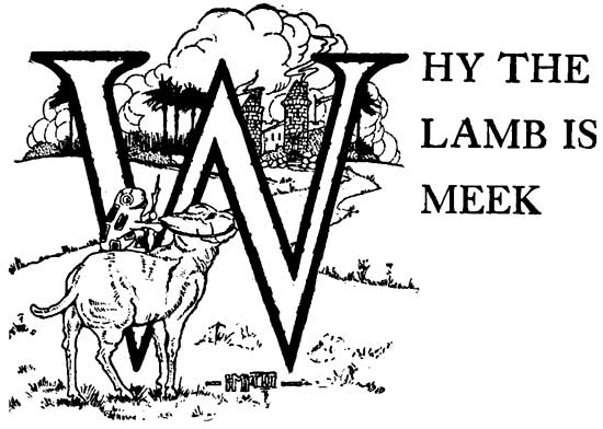 Why the Lamb is Meek - A Brazilian Fairytale