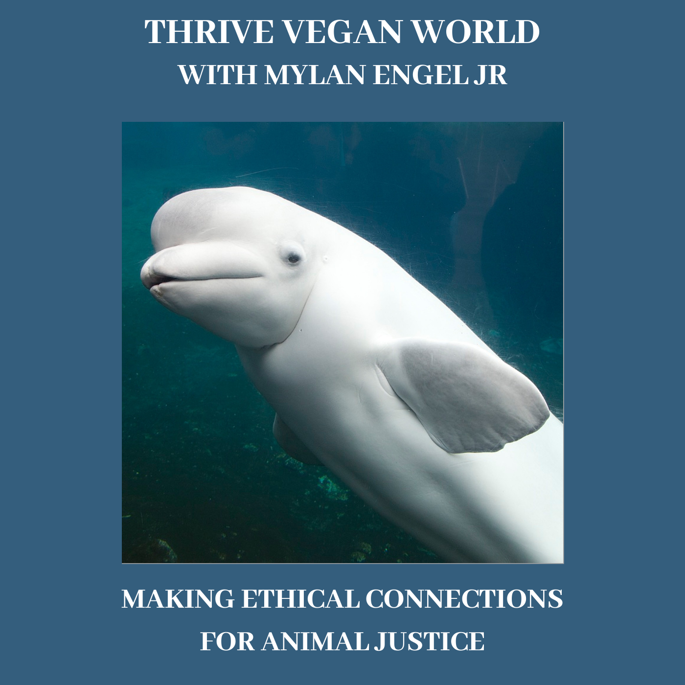 With Mylan Engel Jr - MAKING ETHICAL CONNECTIONS FOR ANIMAL JUSTICE - Episode 29