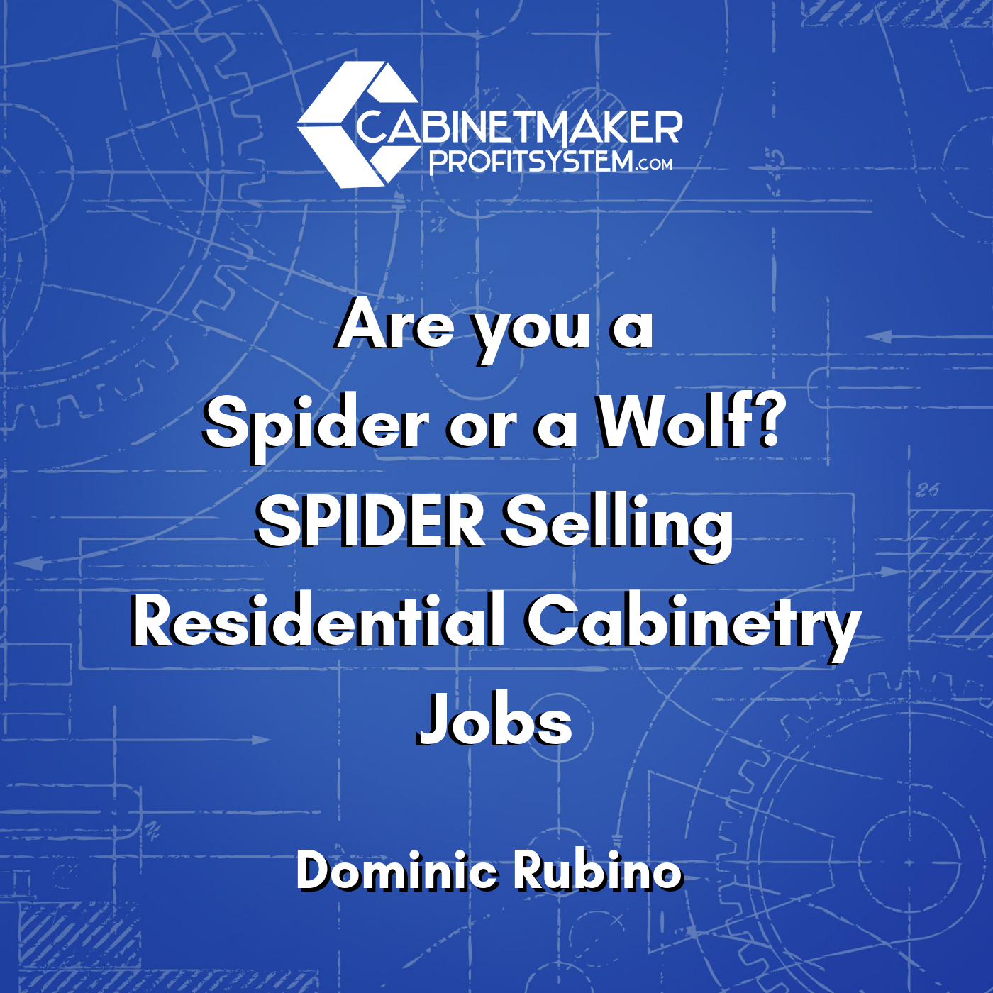 Cabinet Maker Profit System Podcast