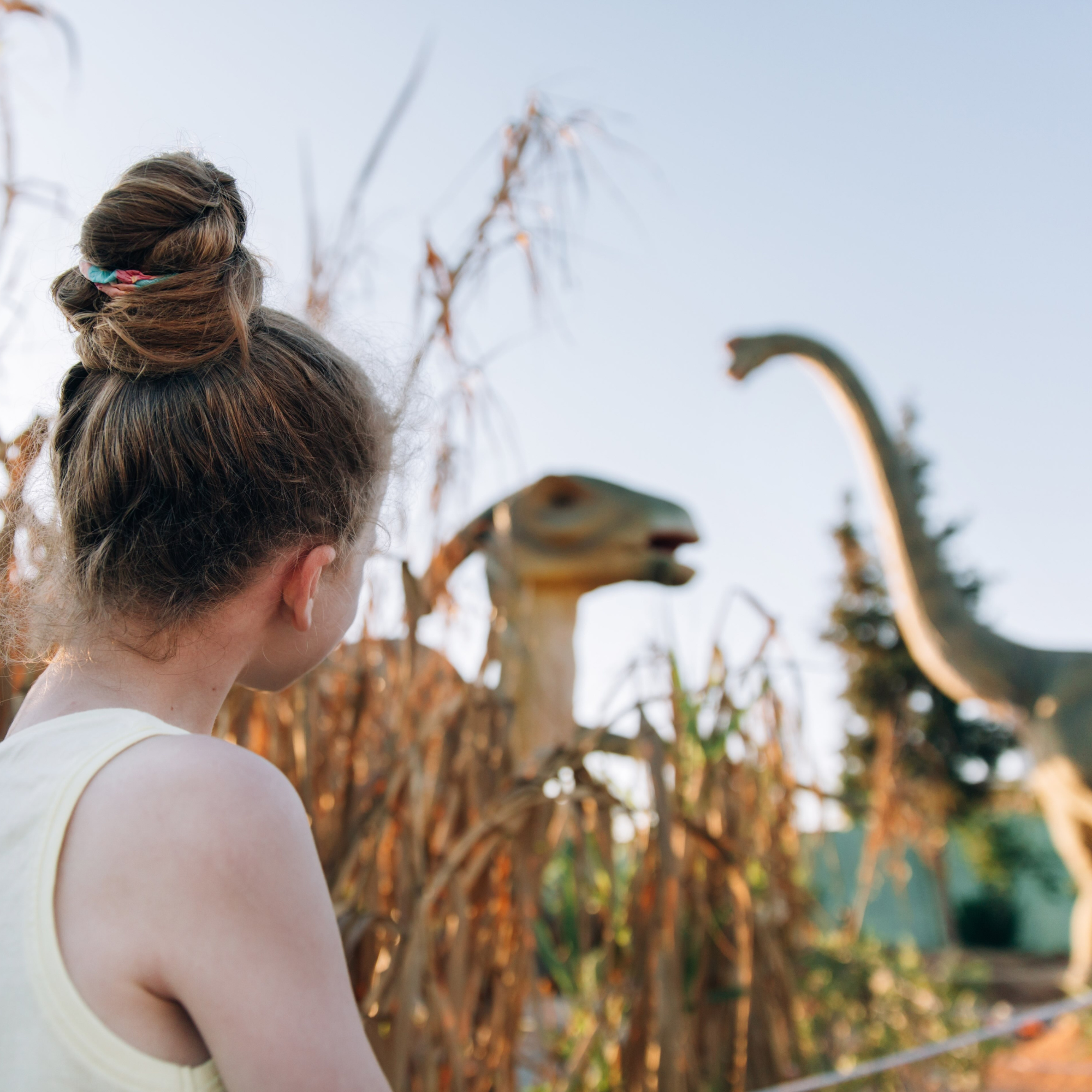 Dinosaurs Need Friends, Too