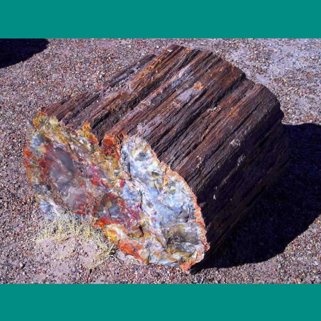 Scientific Journal Confirms Creationist Findings