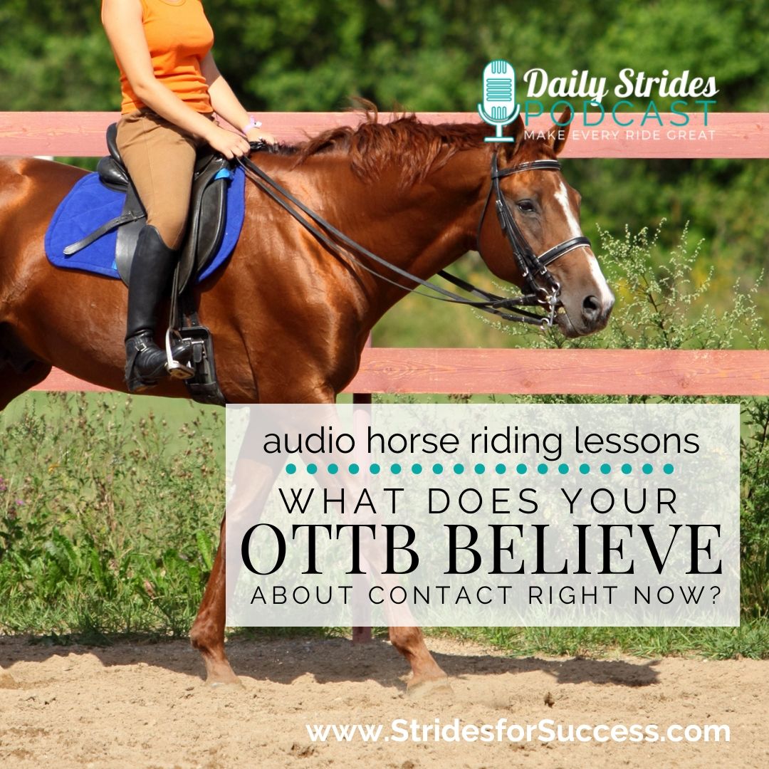 What Your OTTB Believes About Contact Right Now…