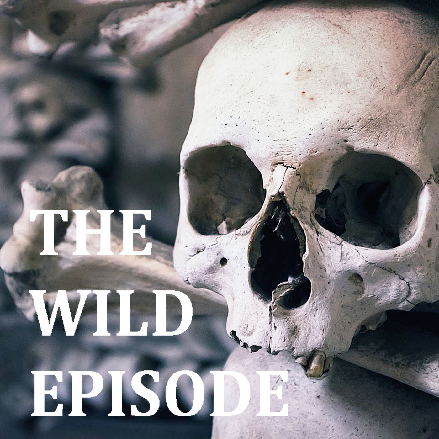 The Wild Episode