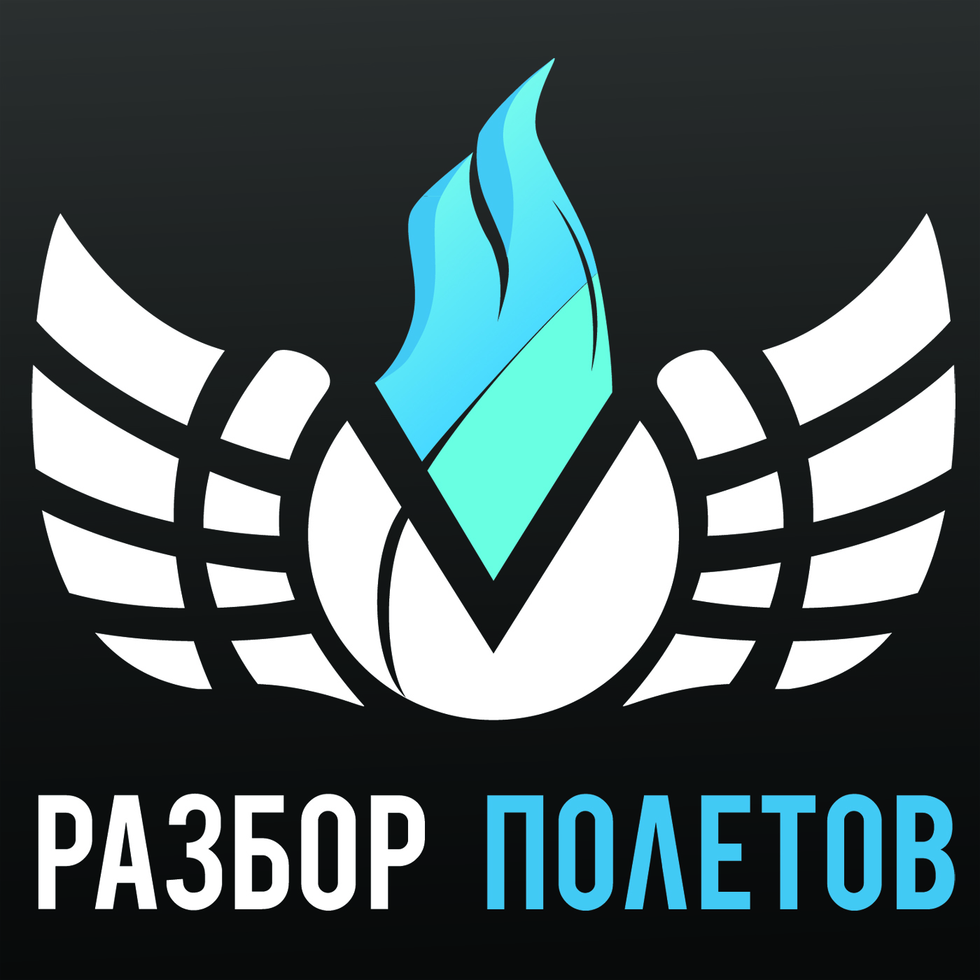 «Разбор Полетов»