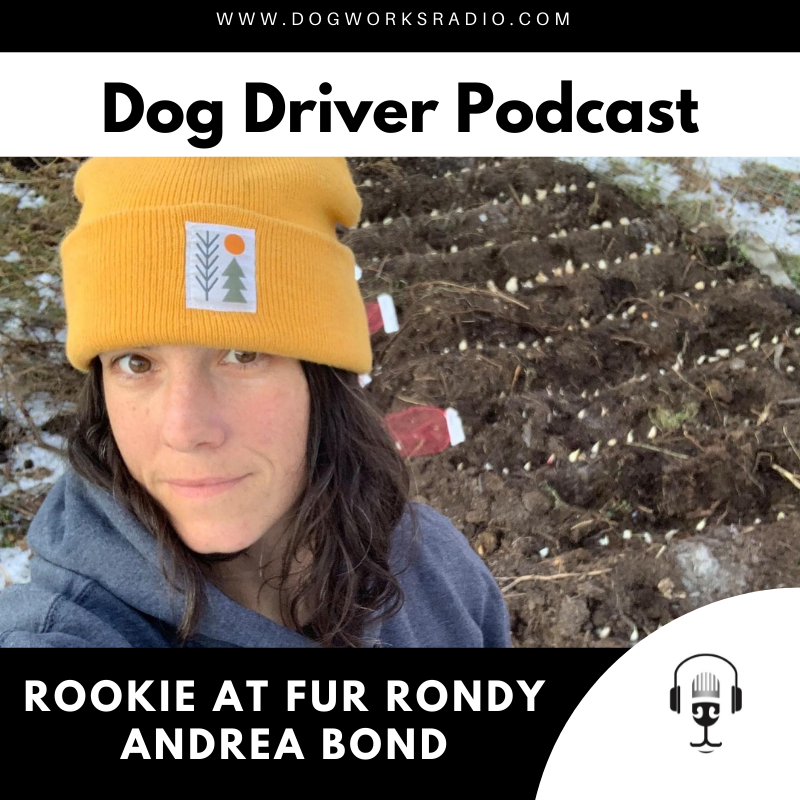 Rookie at Fur Rondy | Andrea Bond