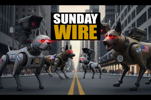 SUNDAY WIRE: EP #567 'The Watchdogs of War'