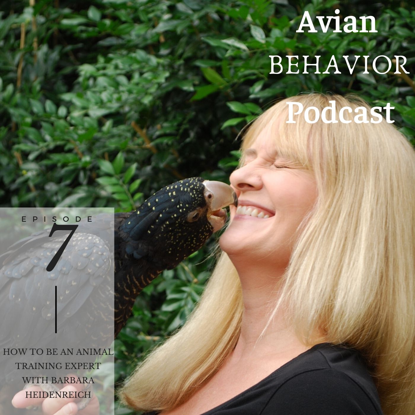 The Avian Behavior Podcast