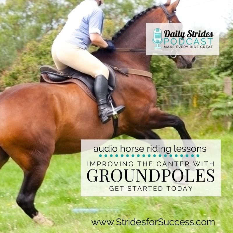 Improving Your Horses Canter with Groundpoles