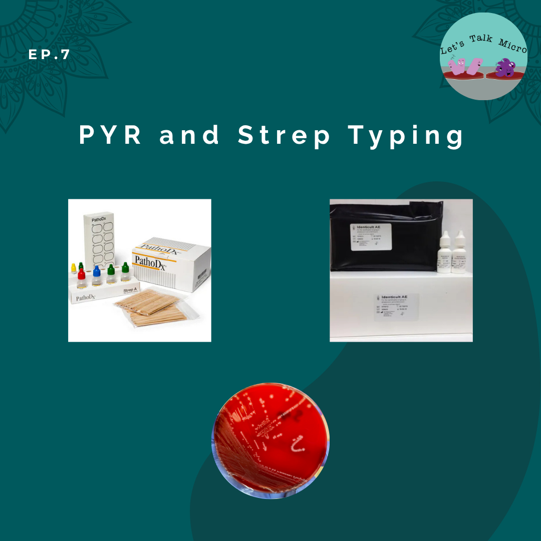 Episode 7: PYR and Strep Typing