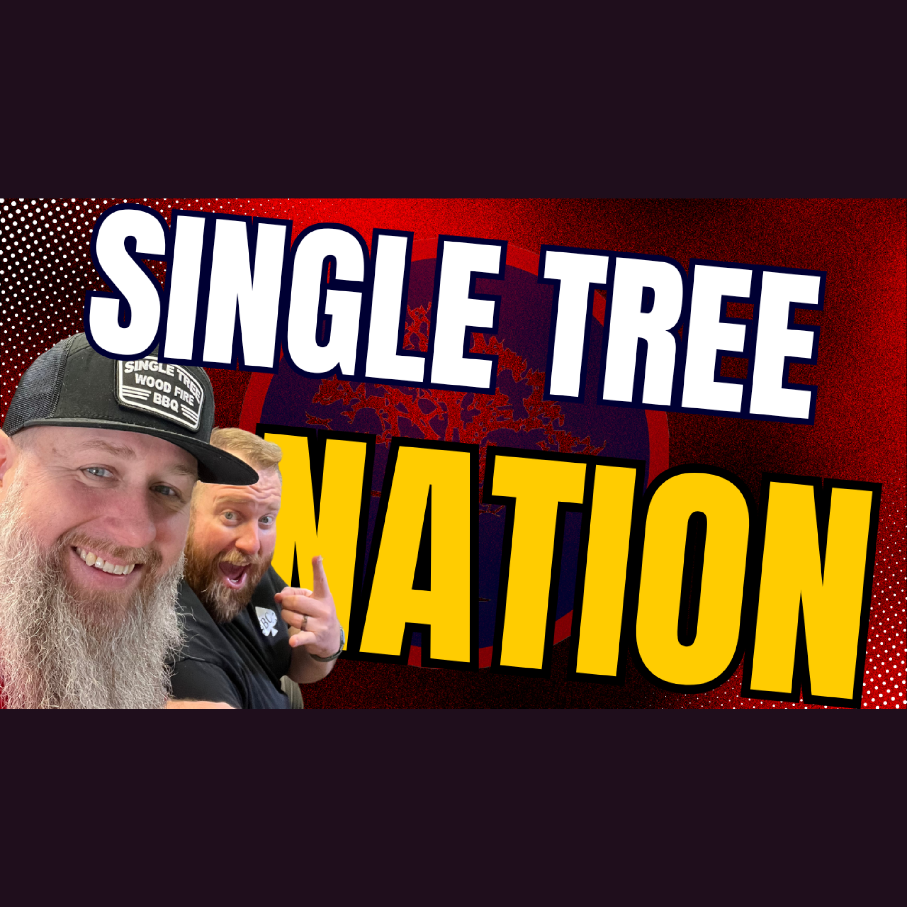 Winging It, VA Stories & Finding Joy in the Chaos | Single Tree Nation