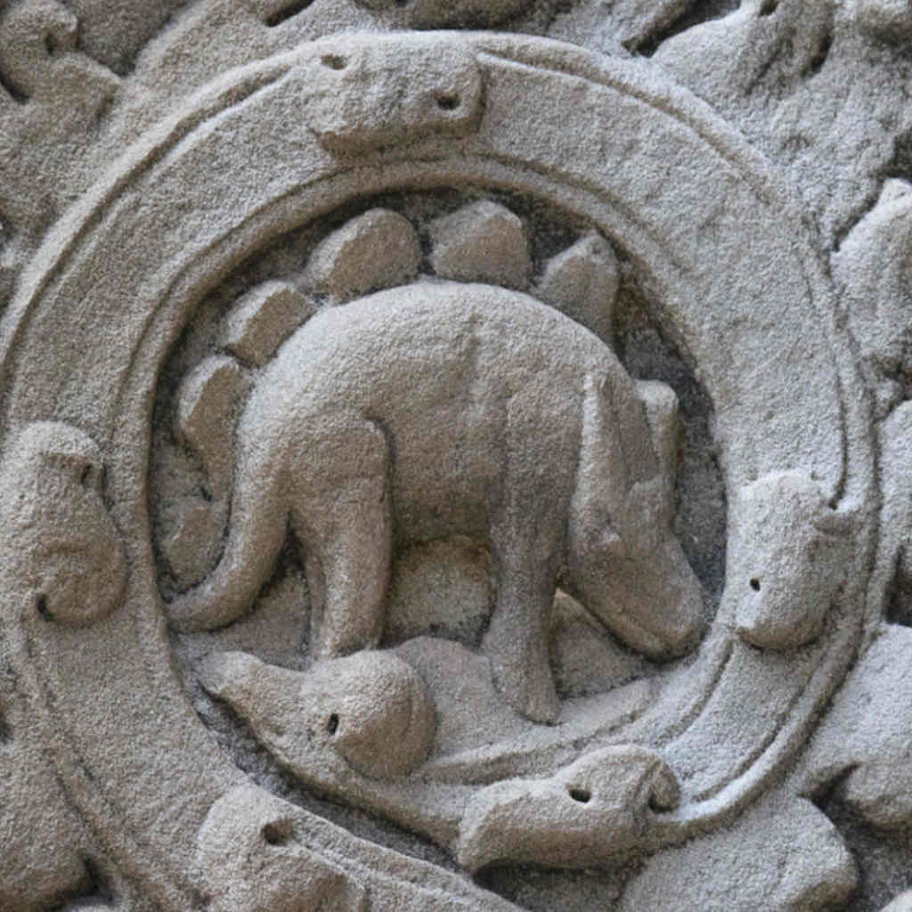 What Did History Do with the Dinosaurs?