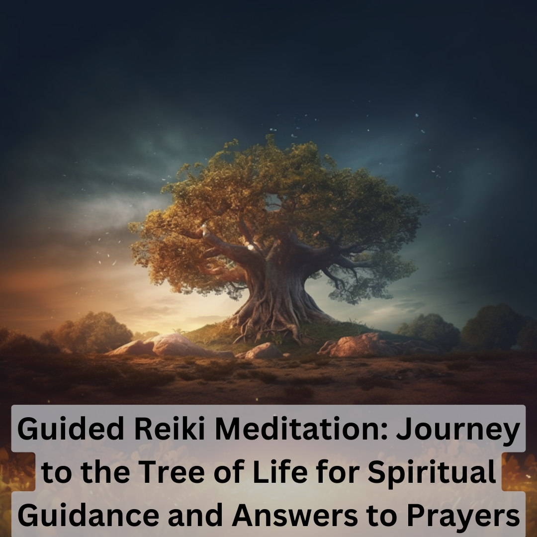The Reiki Lifestyle Podcast