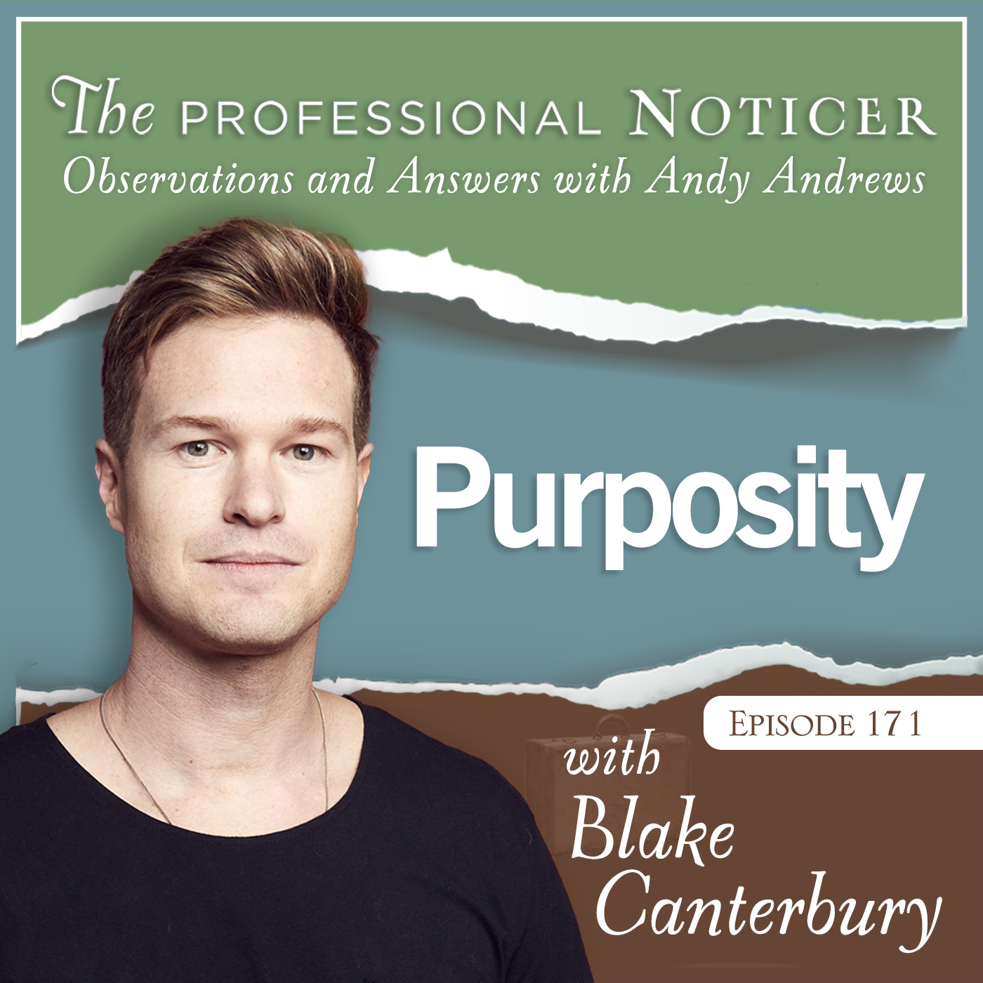 The Professional Noticer