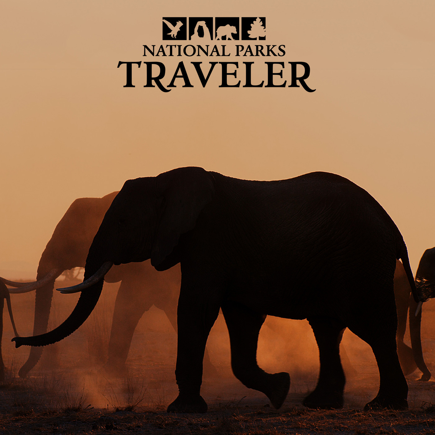 National Parks Traveler: The Elephant Queen, WNPA Honors, Bryce Canyon In Winter