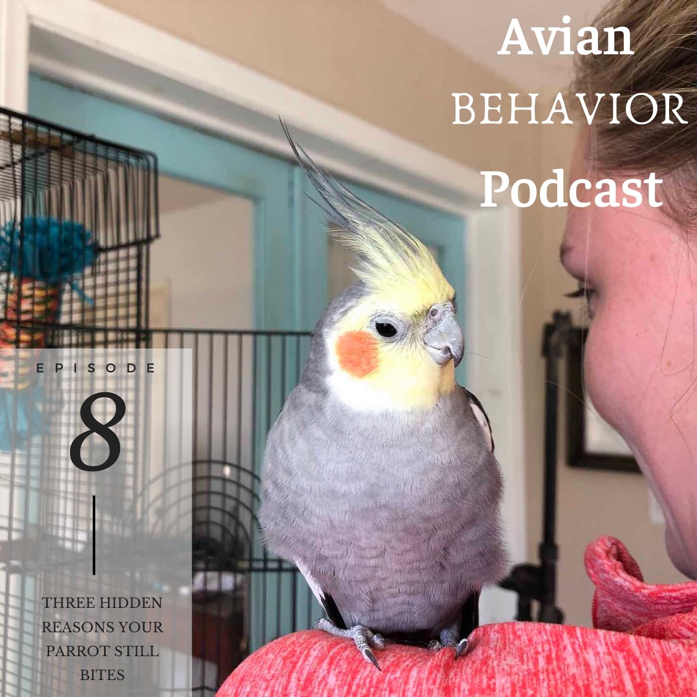 The Avian Behavior Podcast