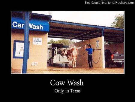 09.08.12 (MP3): Gearheads Argue Auto Detailing @ Two-Buckets, Microfiber & Meltofiber, Clay Elbow, Carnauba & Cotton Tests, + Smart Car Crows, Old Spice Crews, Bacon Smoothies, Robot Dogs, Antagonizing ZR-1s, w/ Amon Tobin & Dog Fashion Disco & Ozzy