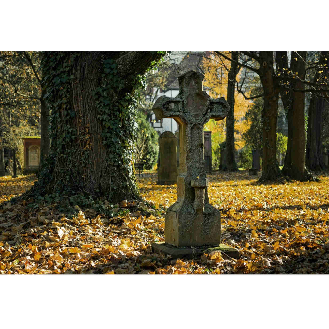 Death Before Adam?