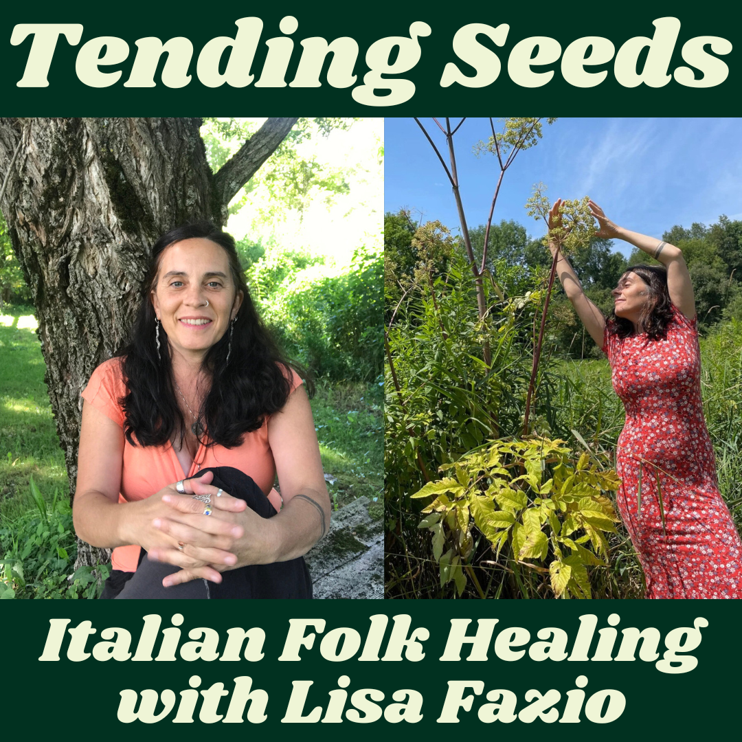 Tending Seeds: Adventures in Gardening, Homesteading, and Herbalism