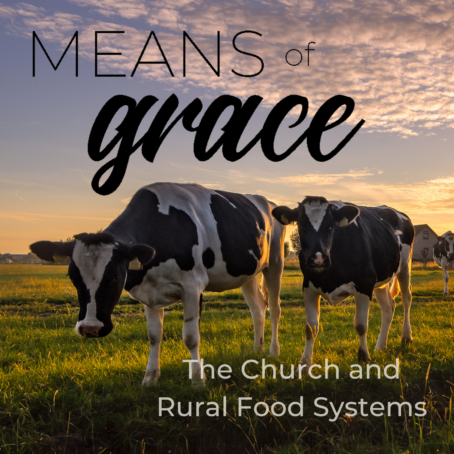 The Church and Rural Food Systems