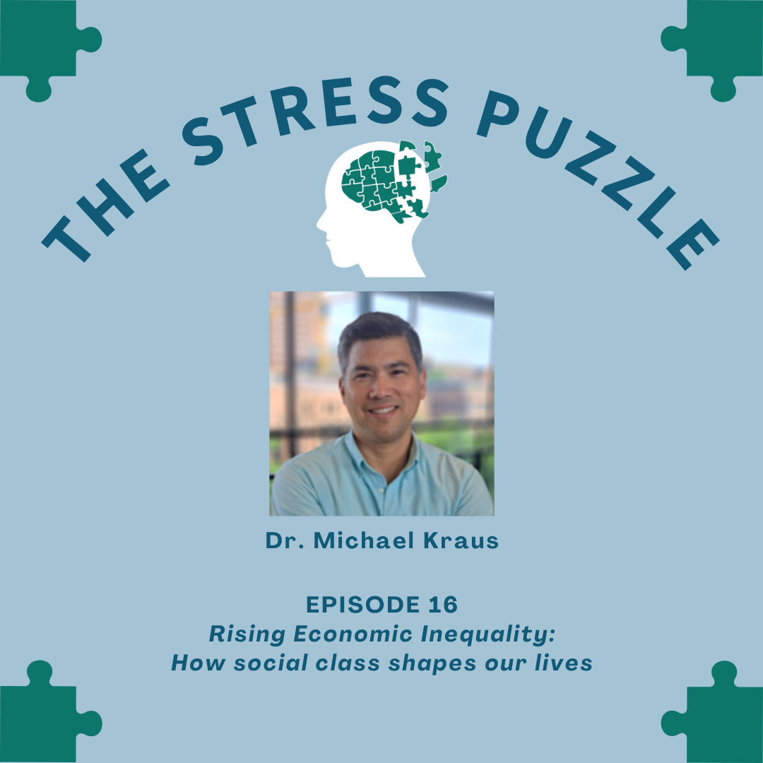 The Stress Puzzle