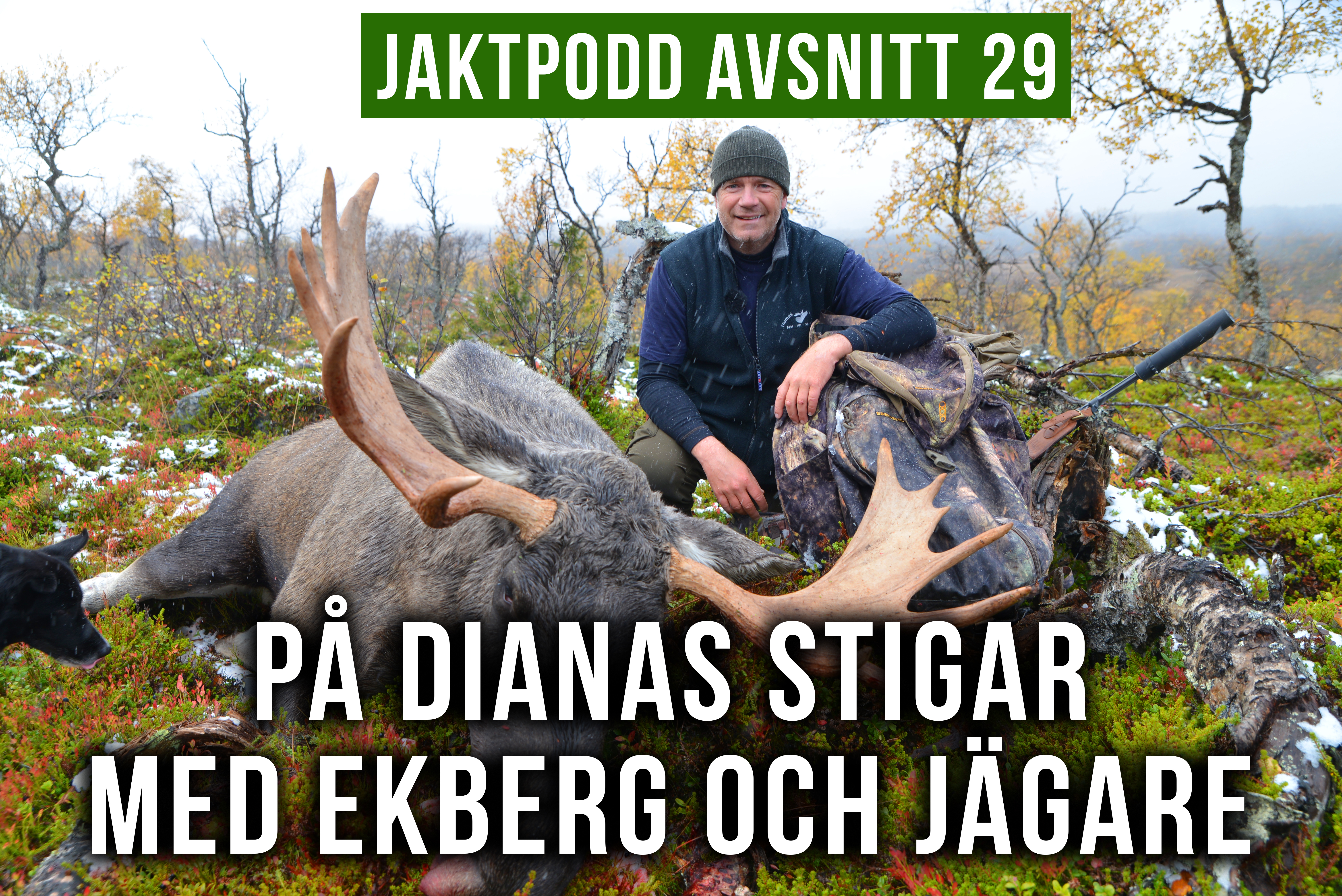 På Dianas Stigar med Ekberg och Jägare - En jaktpodd