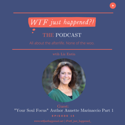 WTF Just Happened?!: All about the afterlife. No woo.