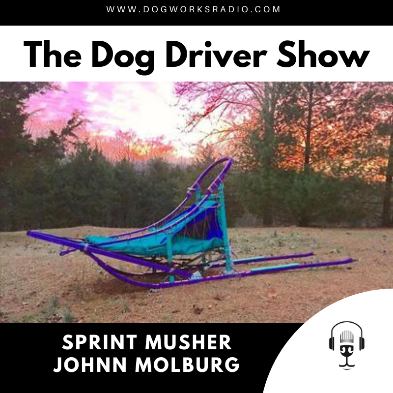 Dog Works Radio