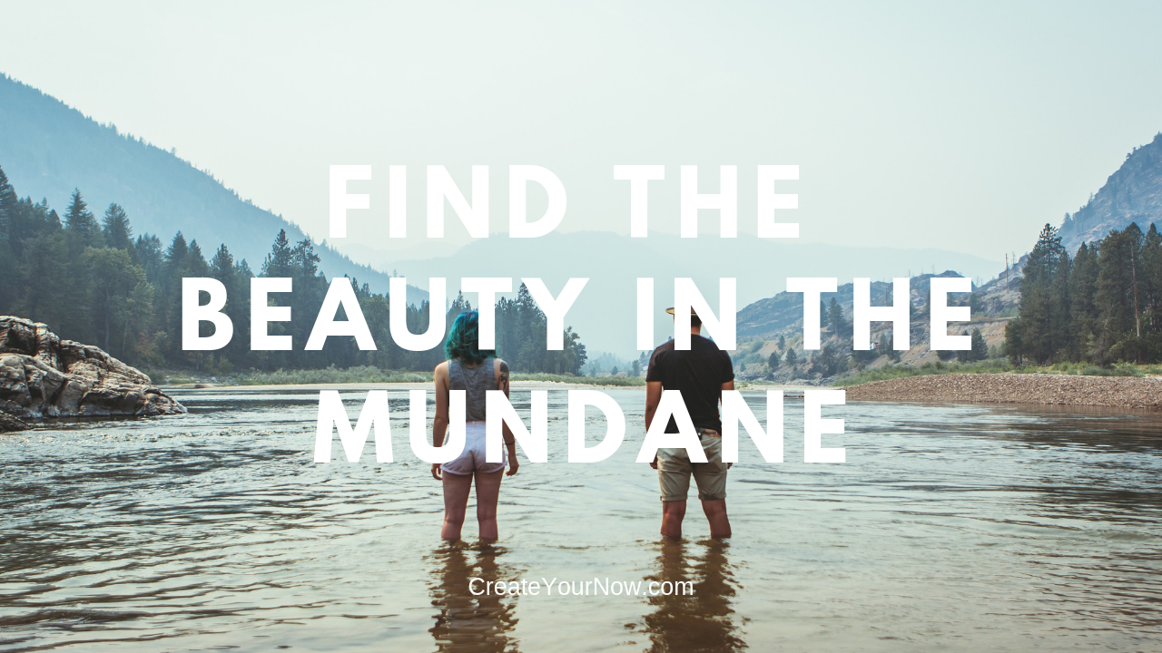 1512 Find the Beauty in the Mundane