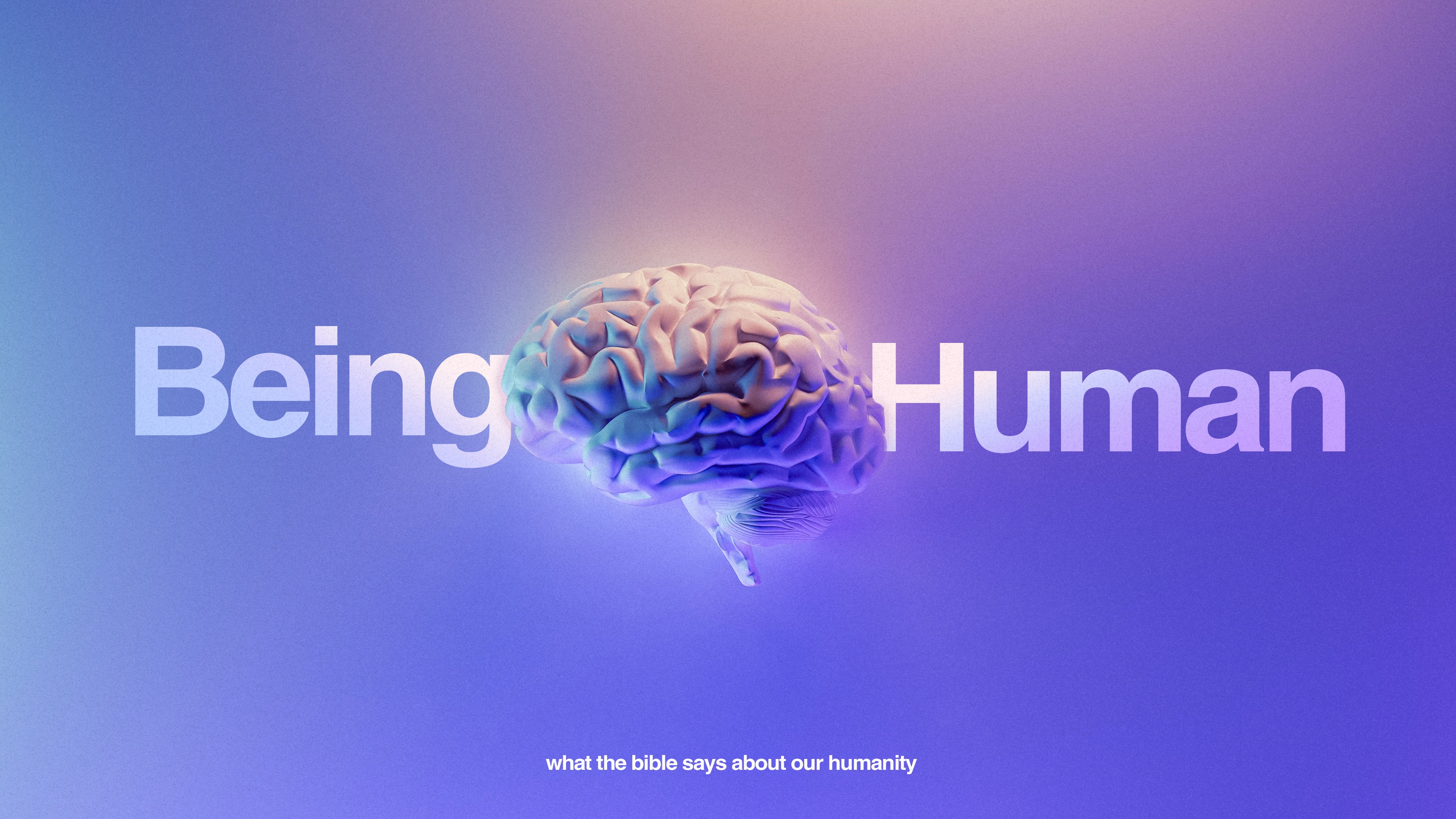 Being Human #3 - Transformed Image, Recovered Glory