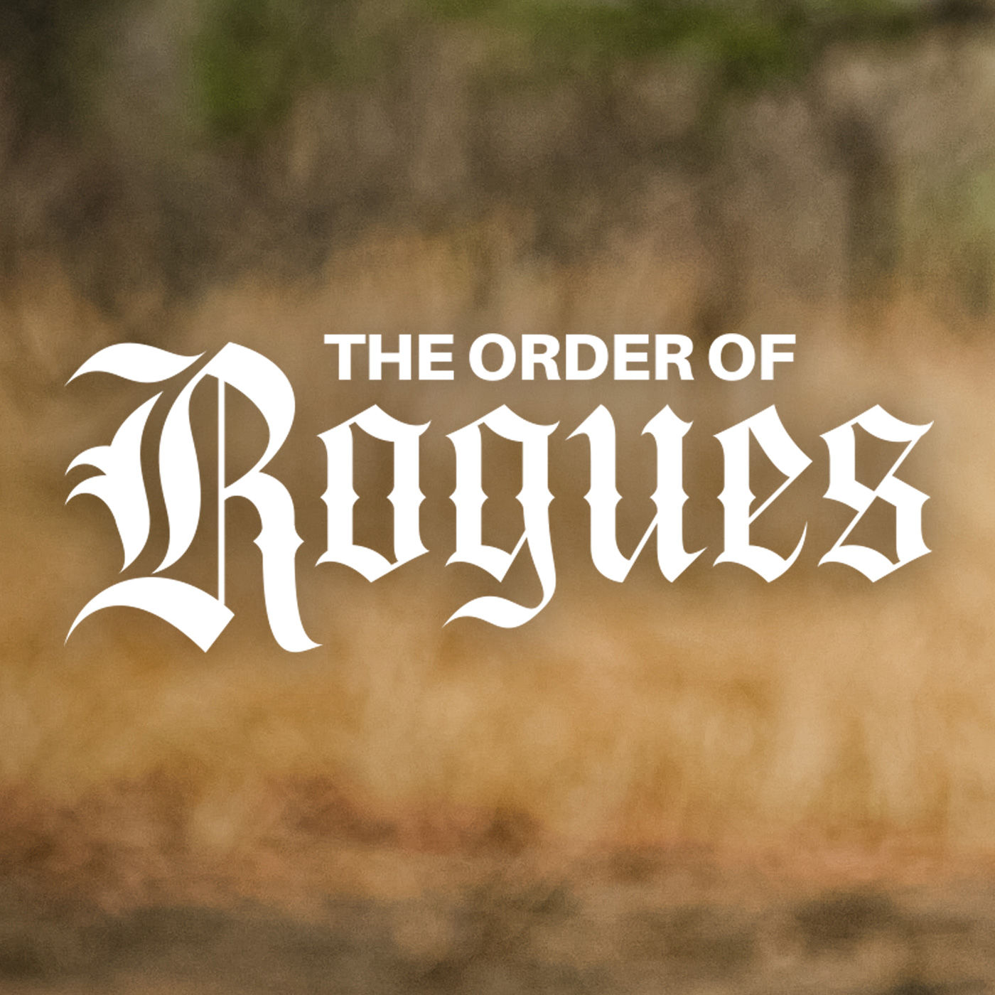 The Order of Rogues - A Field Ethos Podcast