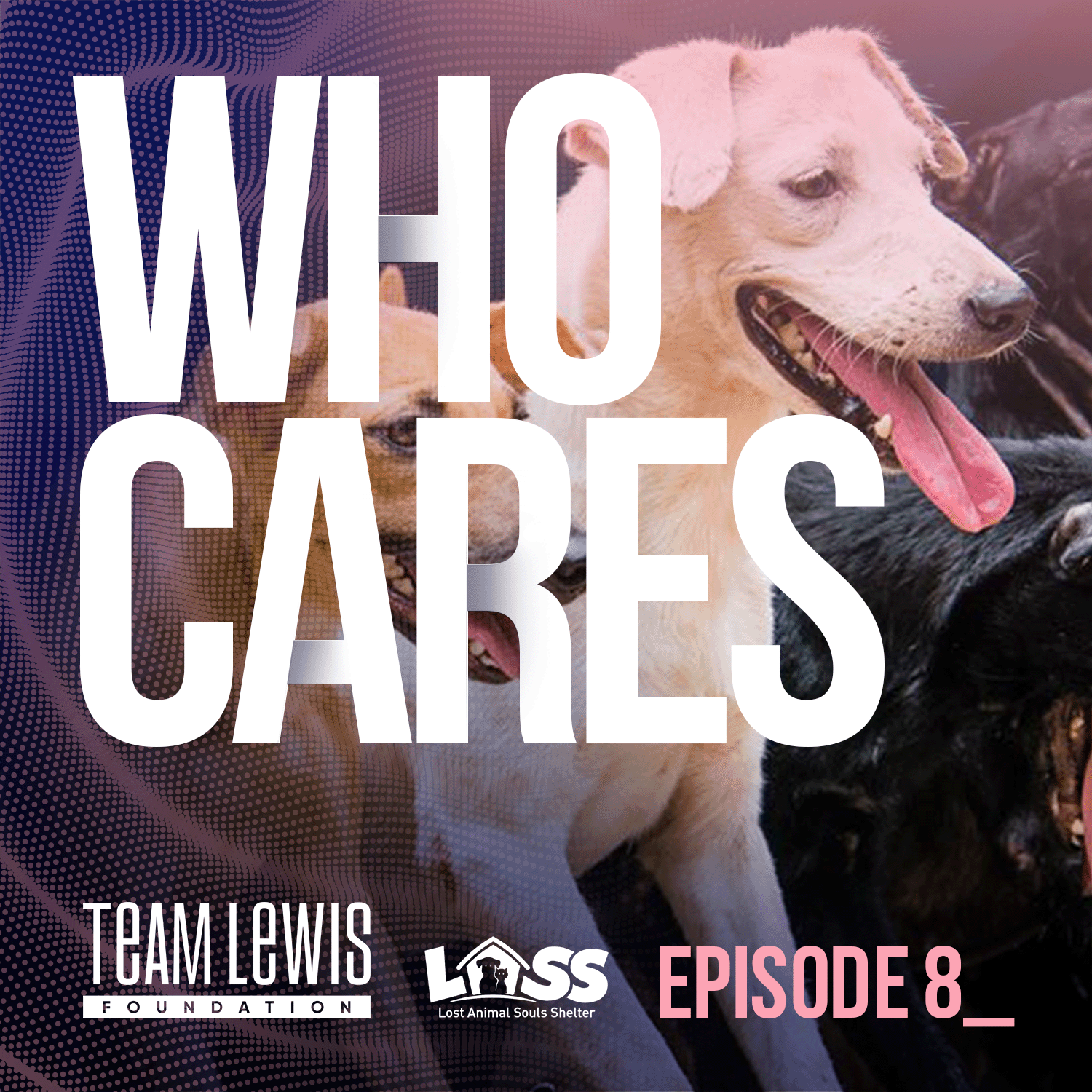 Kavindran Ganasan: Co-Founder and Treasurer of Lost Animal Souls Shelter
