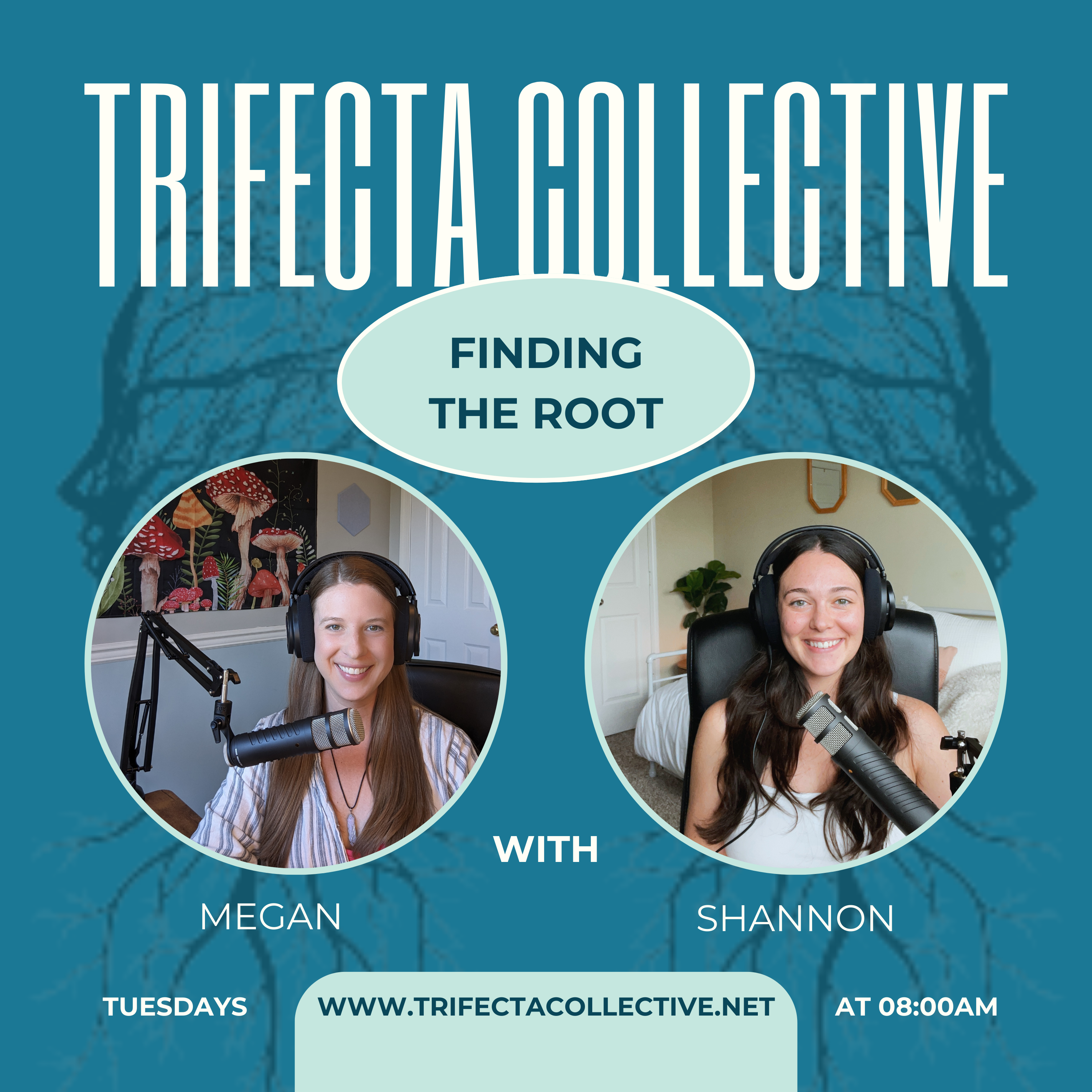 Trifecta Collective - Finding the Root