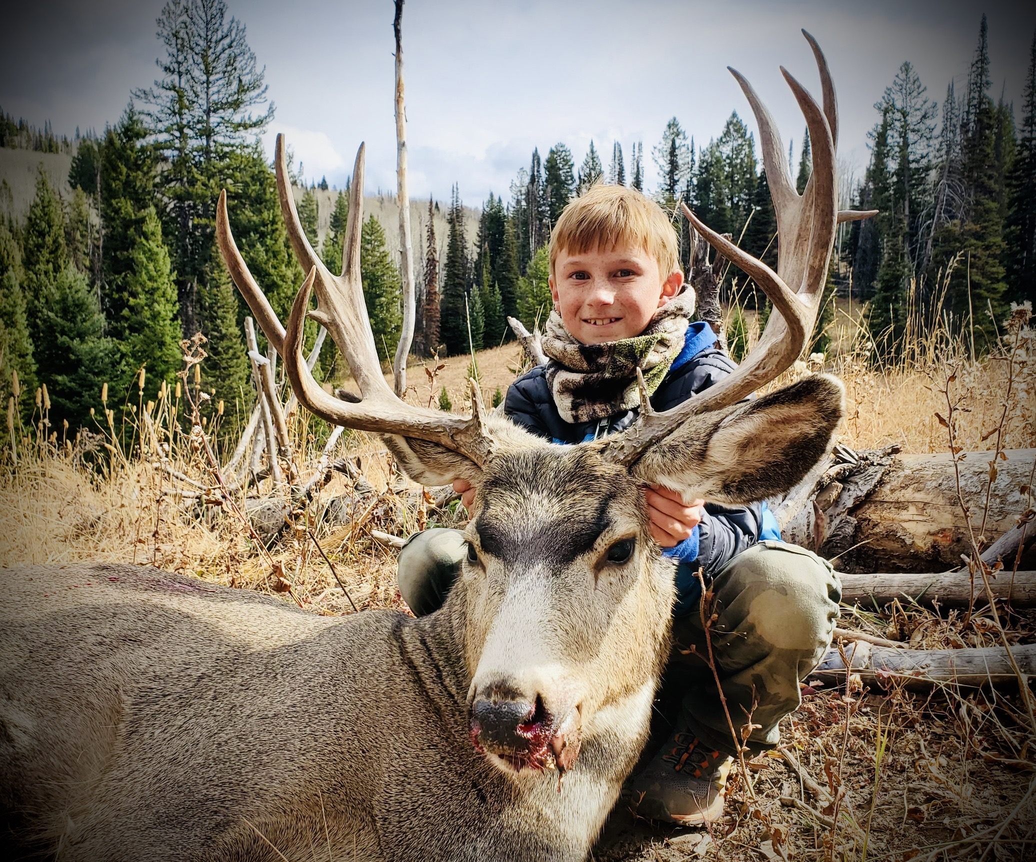 Listeners Questions, Feedback, & Success Stories