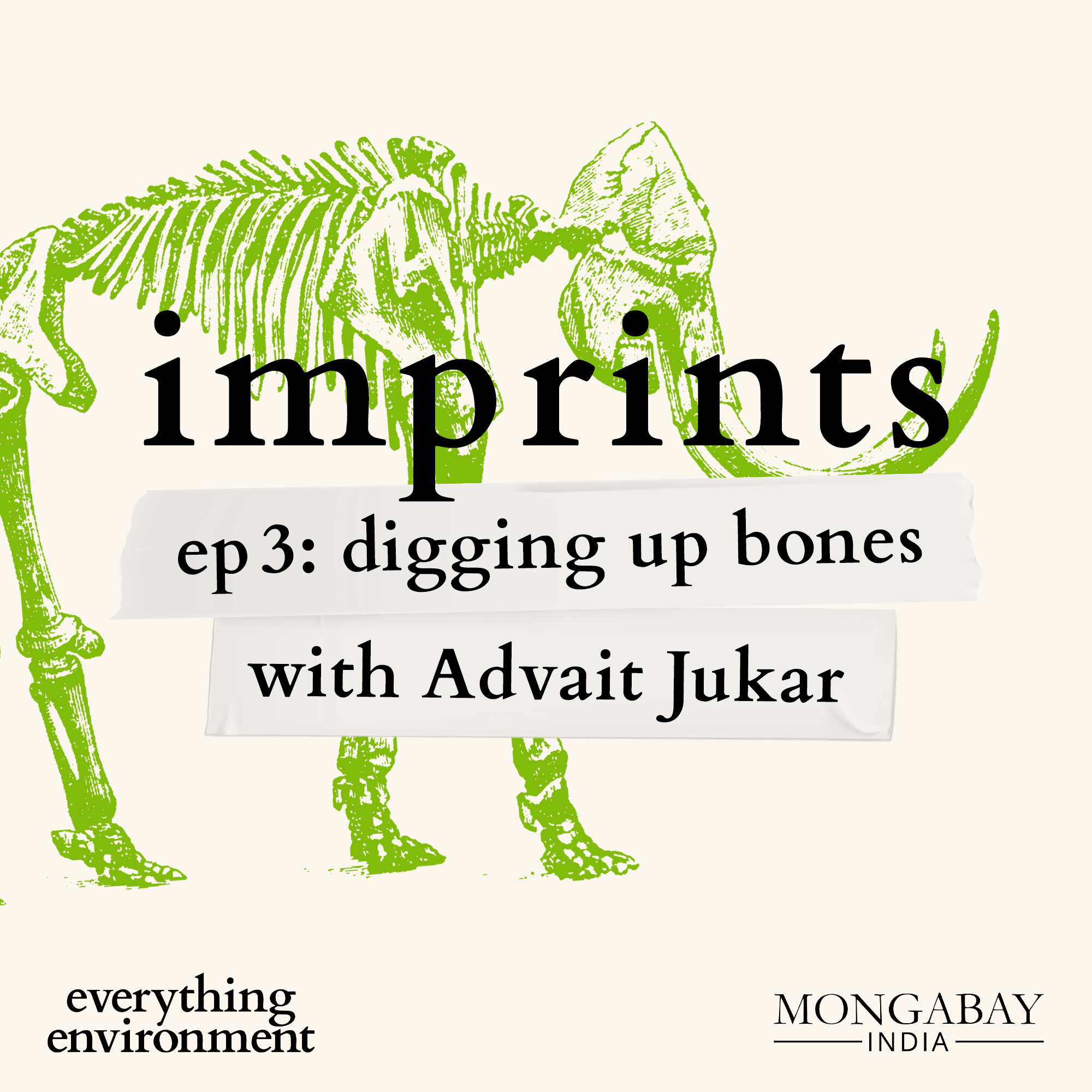 Everything Environment by Mongabay India