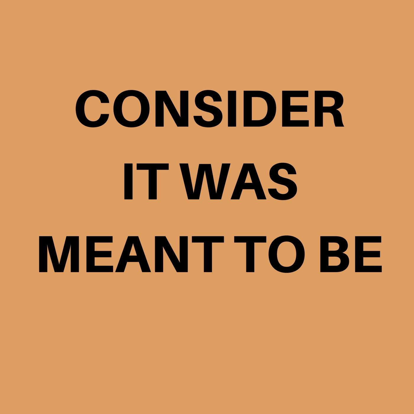 cover of episode 008: Consider It Was Meant to Be