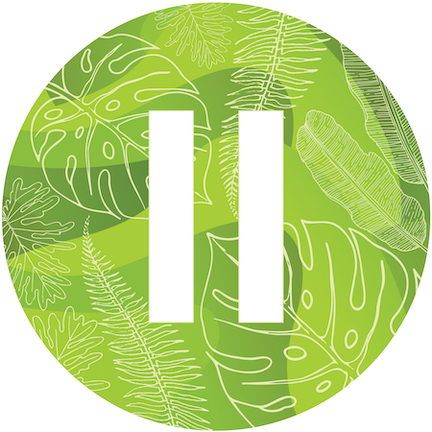 Pause with Plants: Mini Meditation Positivity Booster