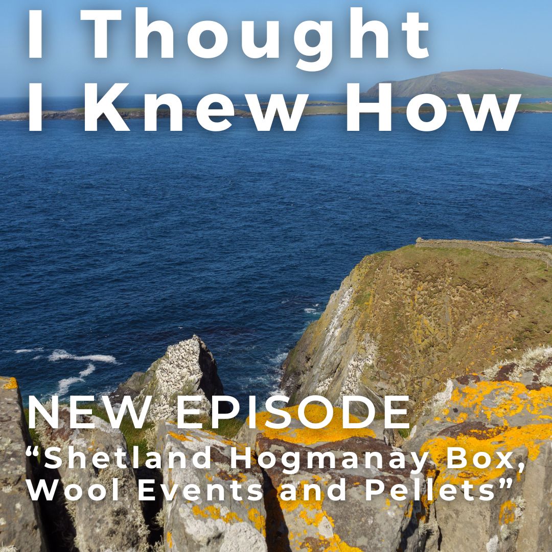 I Thought I Knew How: A Podcast about Knitting and Life