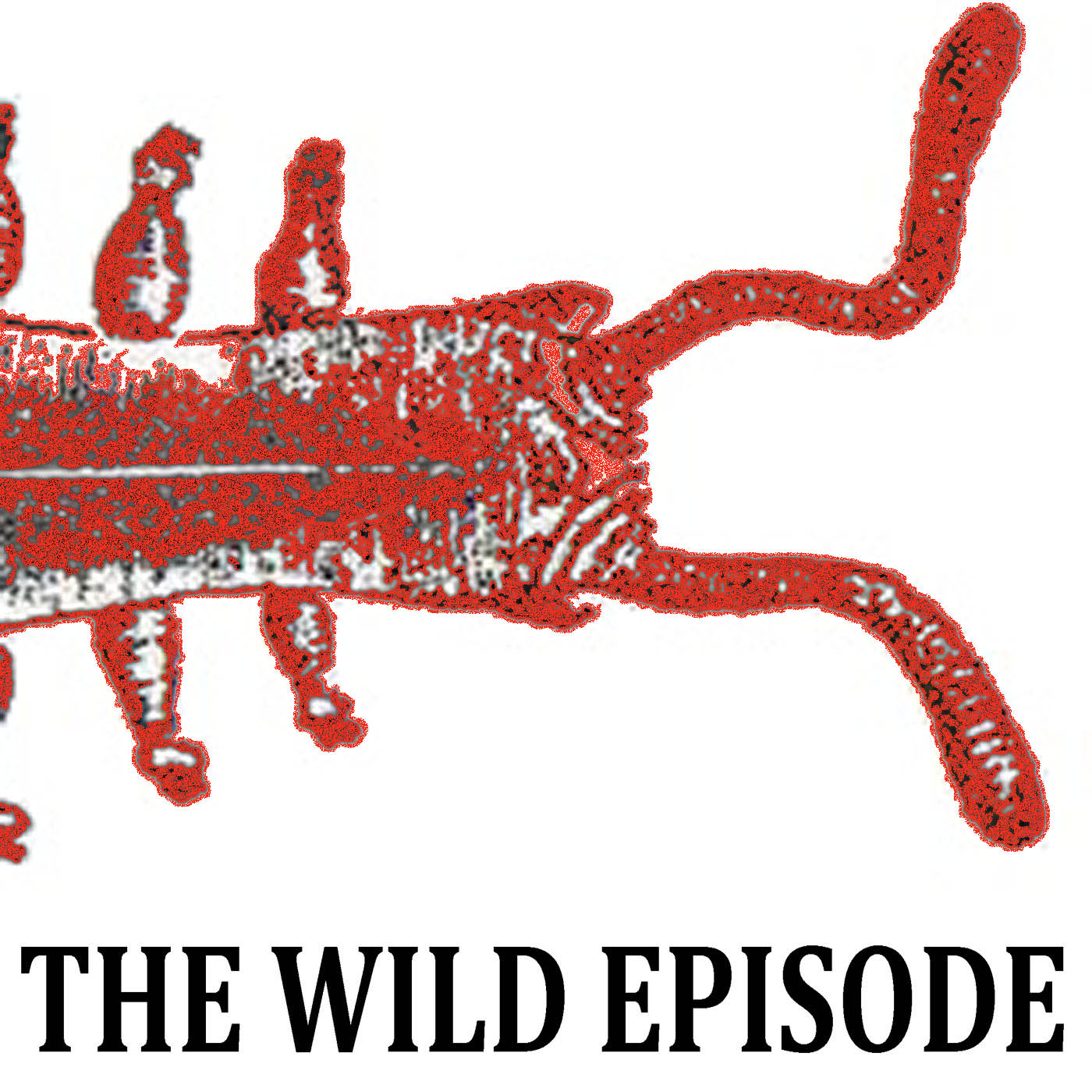The Wild Episode